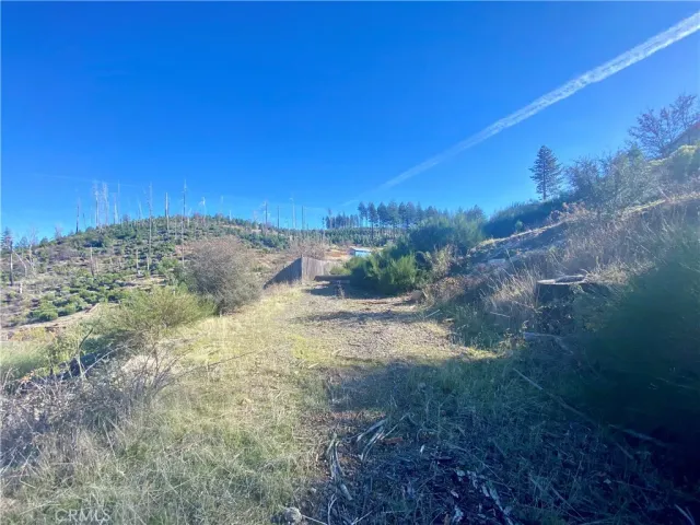 a view of a yard with a house