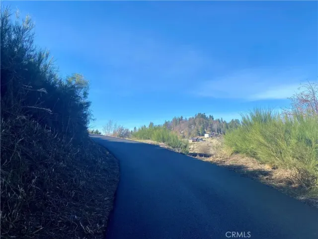 a view of a lake from a yard