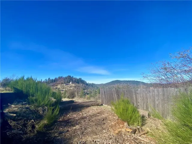 a view of a back yard