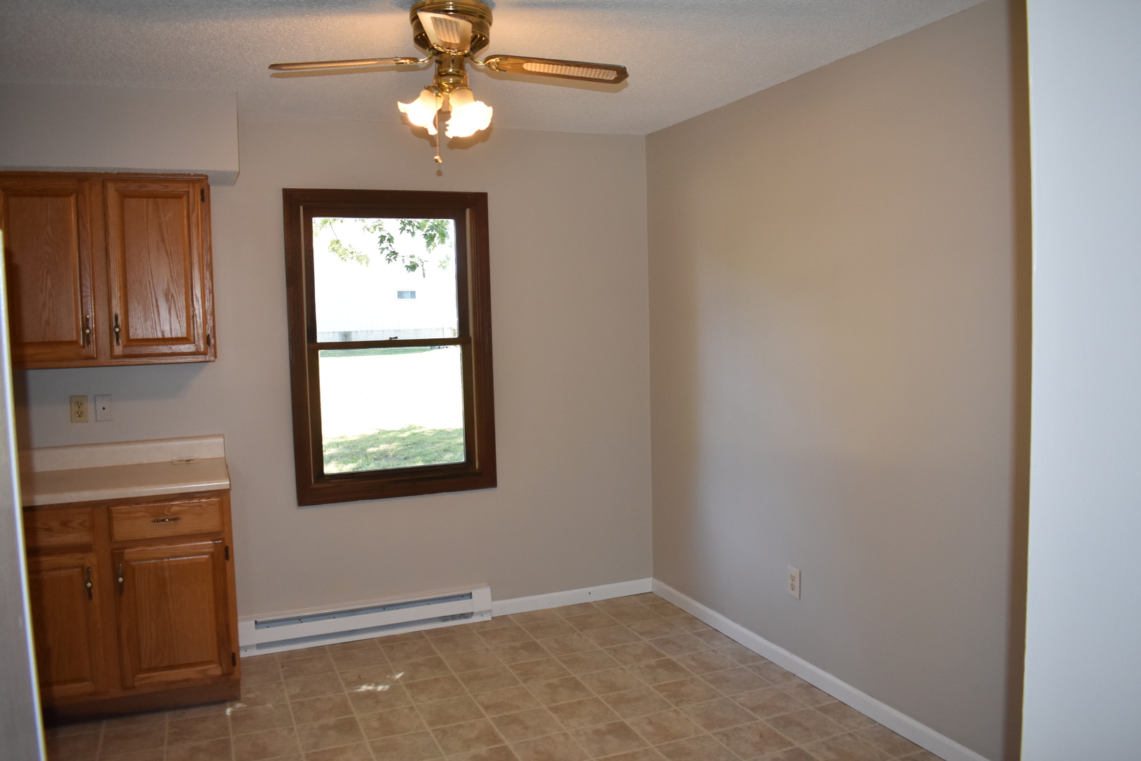 320 North Walnut Street Arcola, IL 61910 - Photo 10 of 14 an empty room with windows and closet