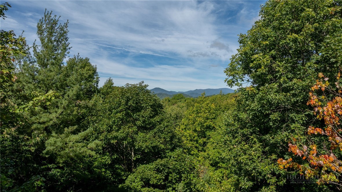 1056 Old Hampton Road Boone, NC 28607 - Photo 41 of 49 Gallery Image 41