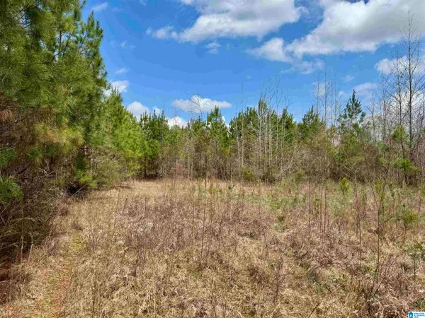 $91,000 | Scroggins Drive, Unit 18 67, Tallassee, AL 36078