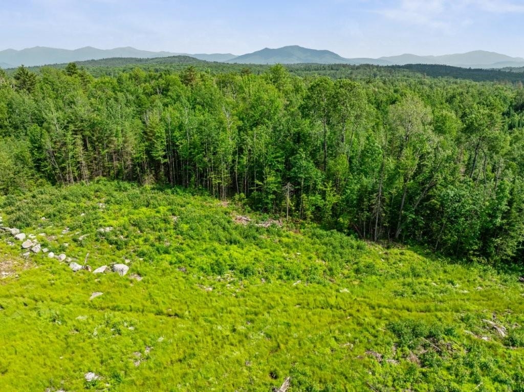Lot 3 Old East Road Whitefield, NH 03598 - Photo 21 of 39