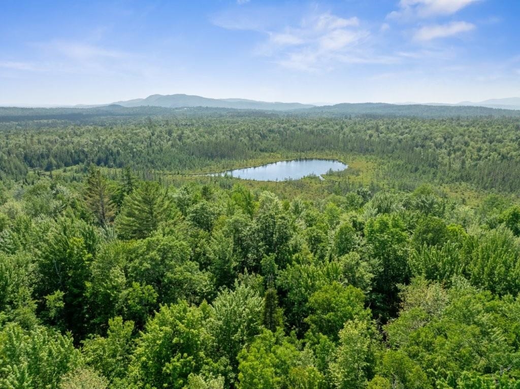 Lot 3 Old East Road Whitefield, NH 03598 - Photo 36 of 39