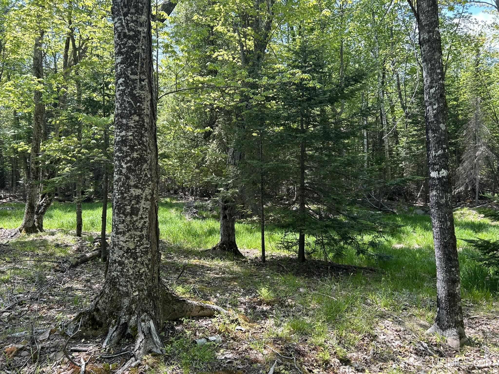 Tbd Lighthouse Road Big Bay, MI 49808 - Photo 9 of 12