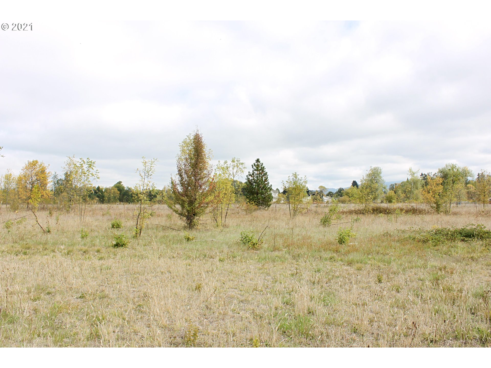 33139 Camas Swale Road Creswell, OR 97426 - Photo 14 of 16 Gallery Image 14