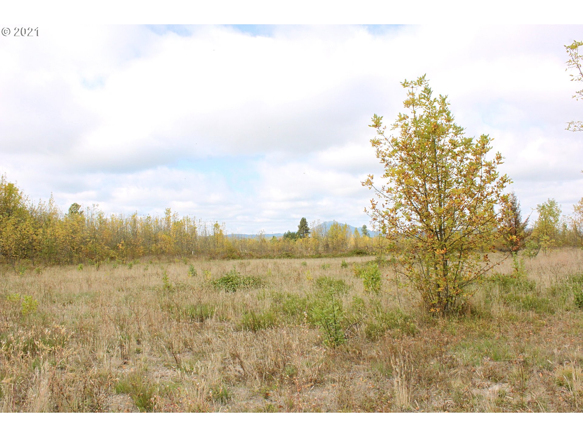 33139 Camas Swale Road Creswell, OR 97426 - Photo 9 of 16 Gallery Image 9