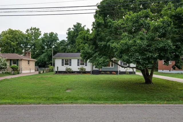 a white house that has a tree in front of it