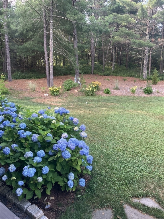 7 Crane Landing Road Wareham, MA 02571 - Photo 29 of 40 a view of yard with tree