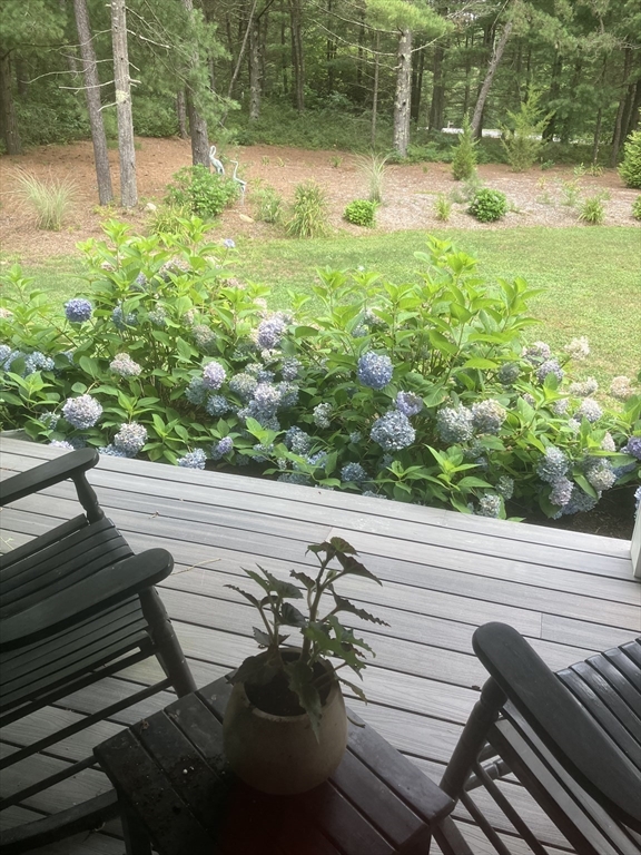 7 Crane Landing Road Wareham, MA 02571 - Photo 30 of 40 a view of a yard with plants and a bench