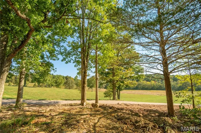 $939,000 | 835 Monday Lane, Williamsville, MO 63967