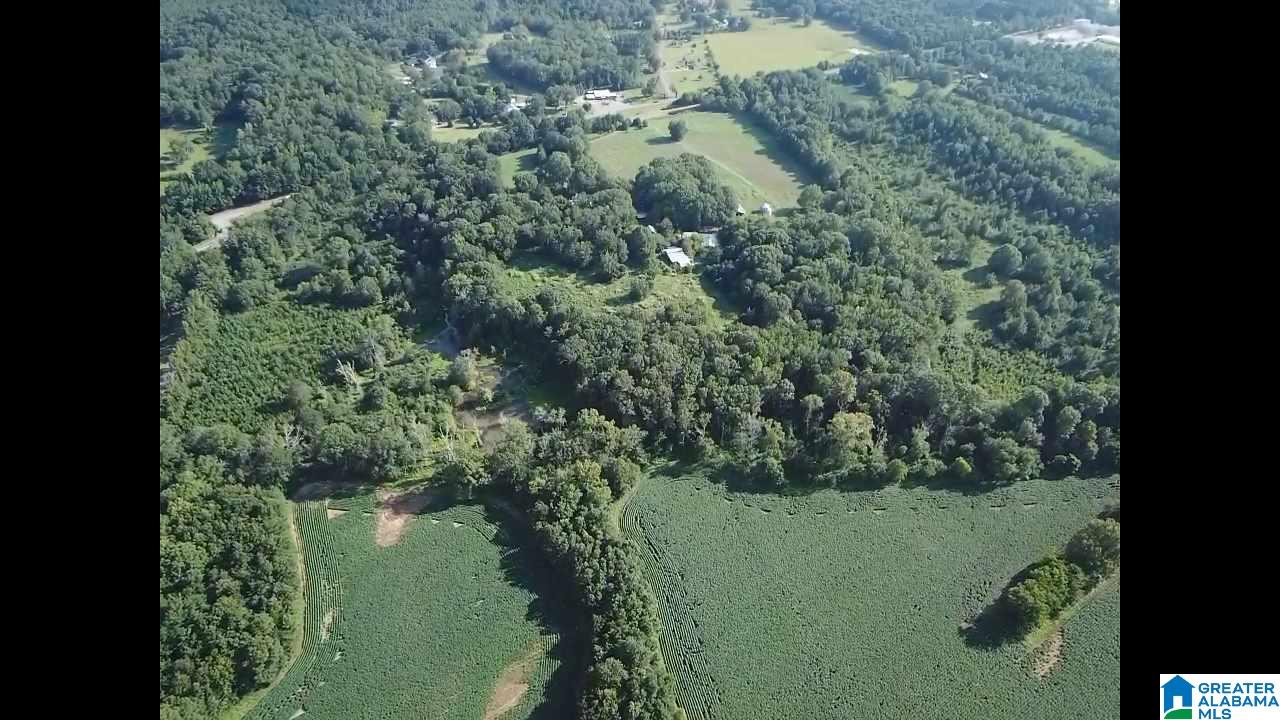 160 Strickland Lane Alpine, AL 35014 - Photo 5 of 50