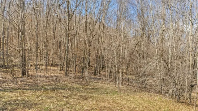 $59,900 | L9.111 Lutheranville Road, East Worcester, NY 12064