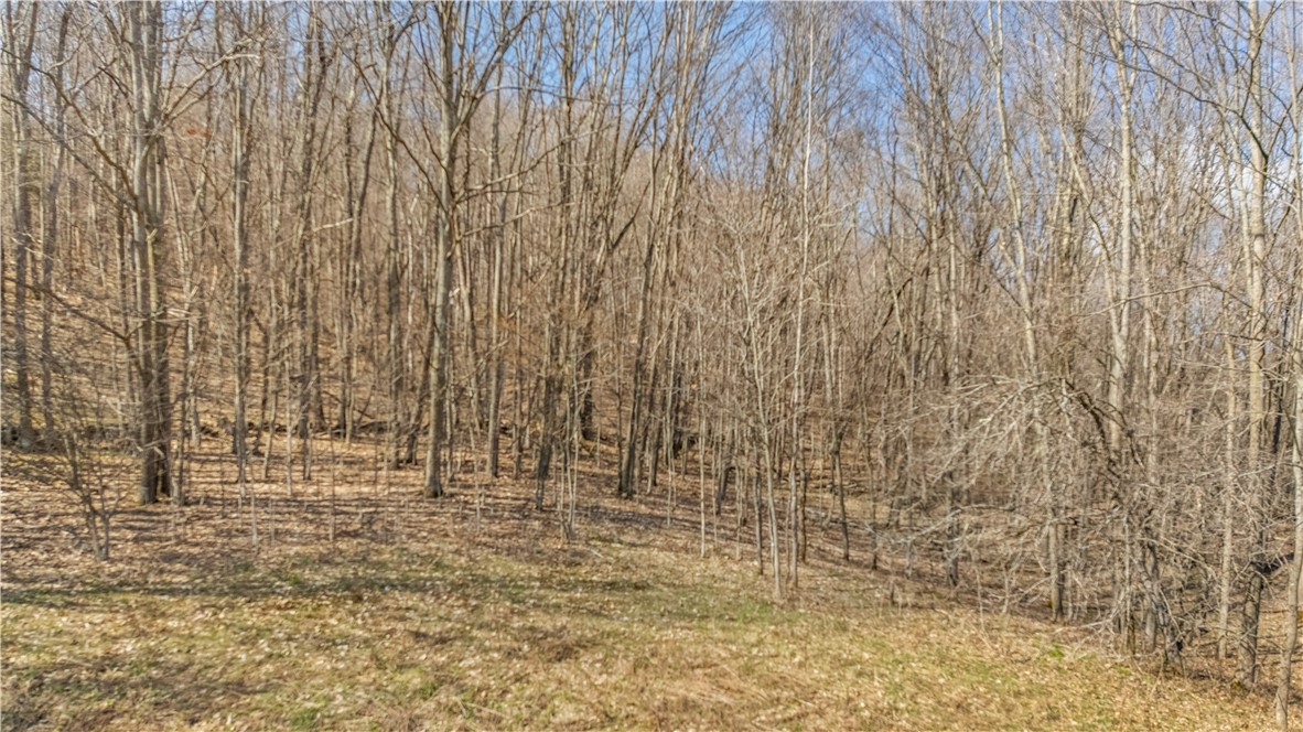 L9.111 Lutheranville Road East Worcester, NY 12064 - Photo 12 of 20