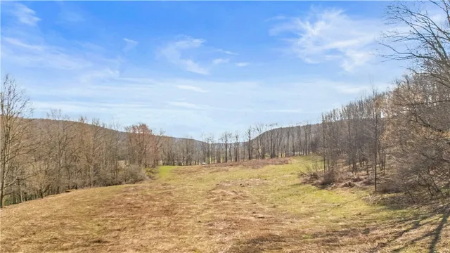 $59,900 | L9.111 Lutheranville Road, East Worcester, NY 12064