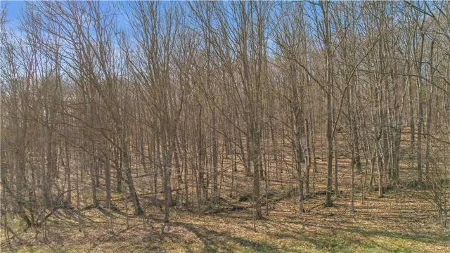 $59,900 | L9.111 Lutheranville Road, East Worcester, NY 12064