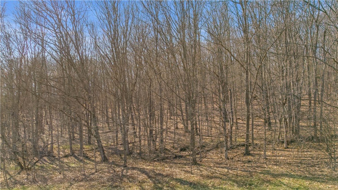 L9.111 Lutheranville Road East Worcester, NY 12064 - Photo 14 of 20