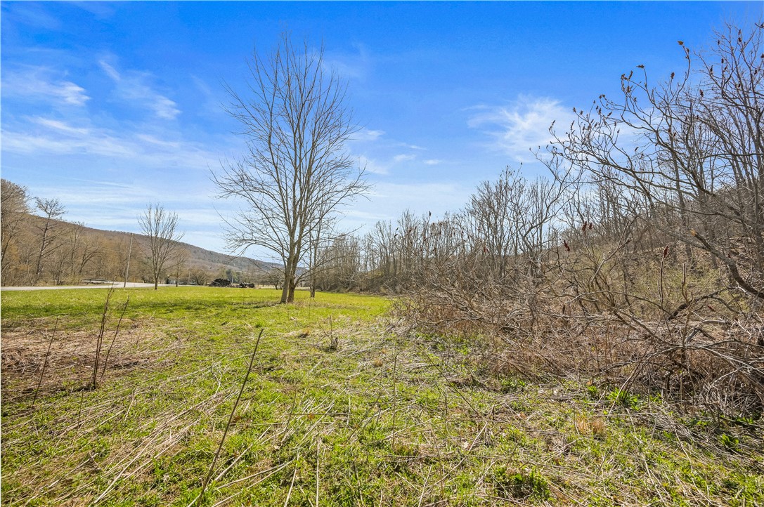 L9.111 Lutheranville Road East Worcester, NY 12064 - Photo 6 of 20