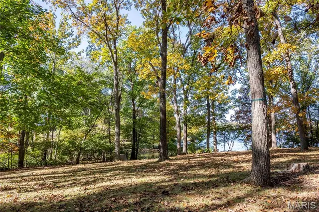 $1 | 813 Chipwood Lane, Centralia, IL 62801