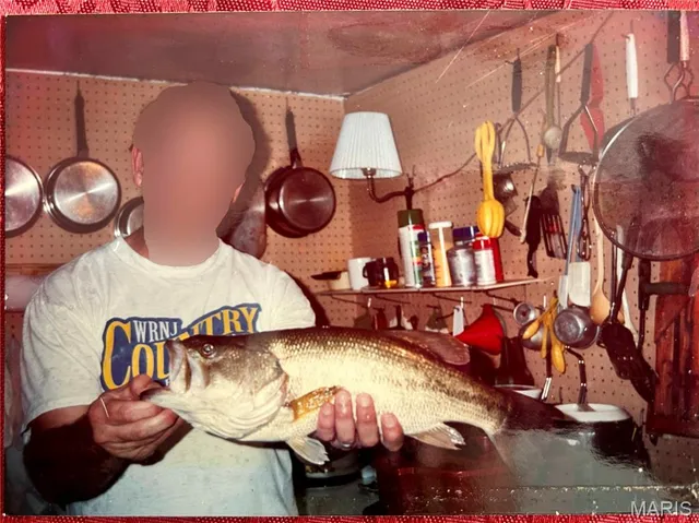 $1 | 813 Chipwood Lane, Centralia, IL 62801