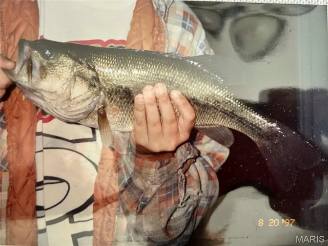 $1 | 813 Chipwood Lane, Centralia, IL 62801