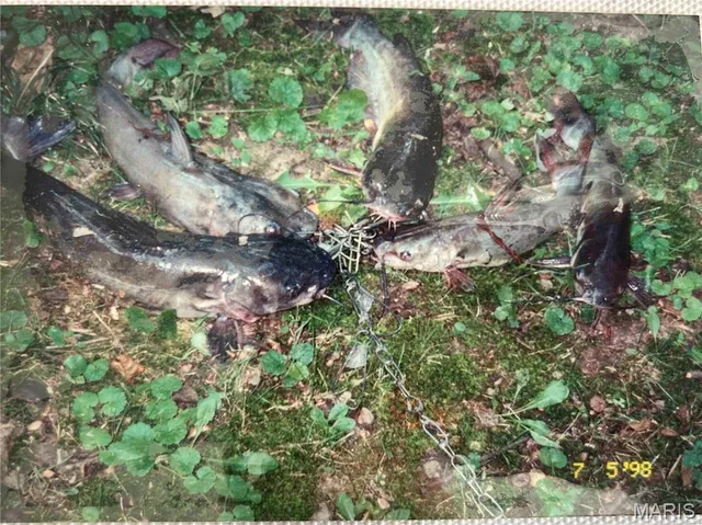 $1 | 813 Chipwood Lane, Centralia, IL 62801