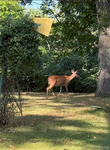 $1 | 813 Chipwood Lane, Centralia, IL 62801