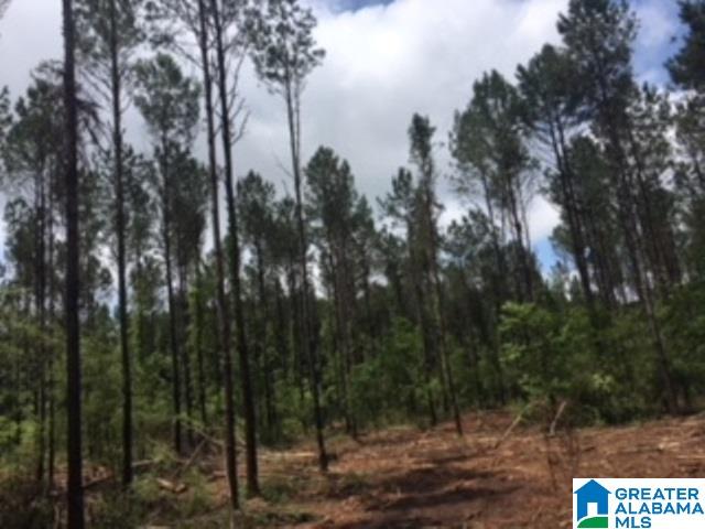 325 Springhill Road, Unit 1 Talladega, AL 35160 - Photo 16 of 31