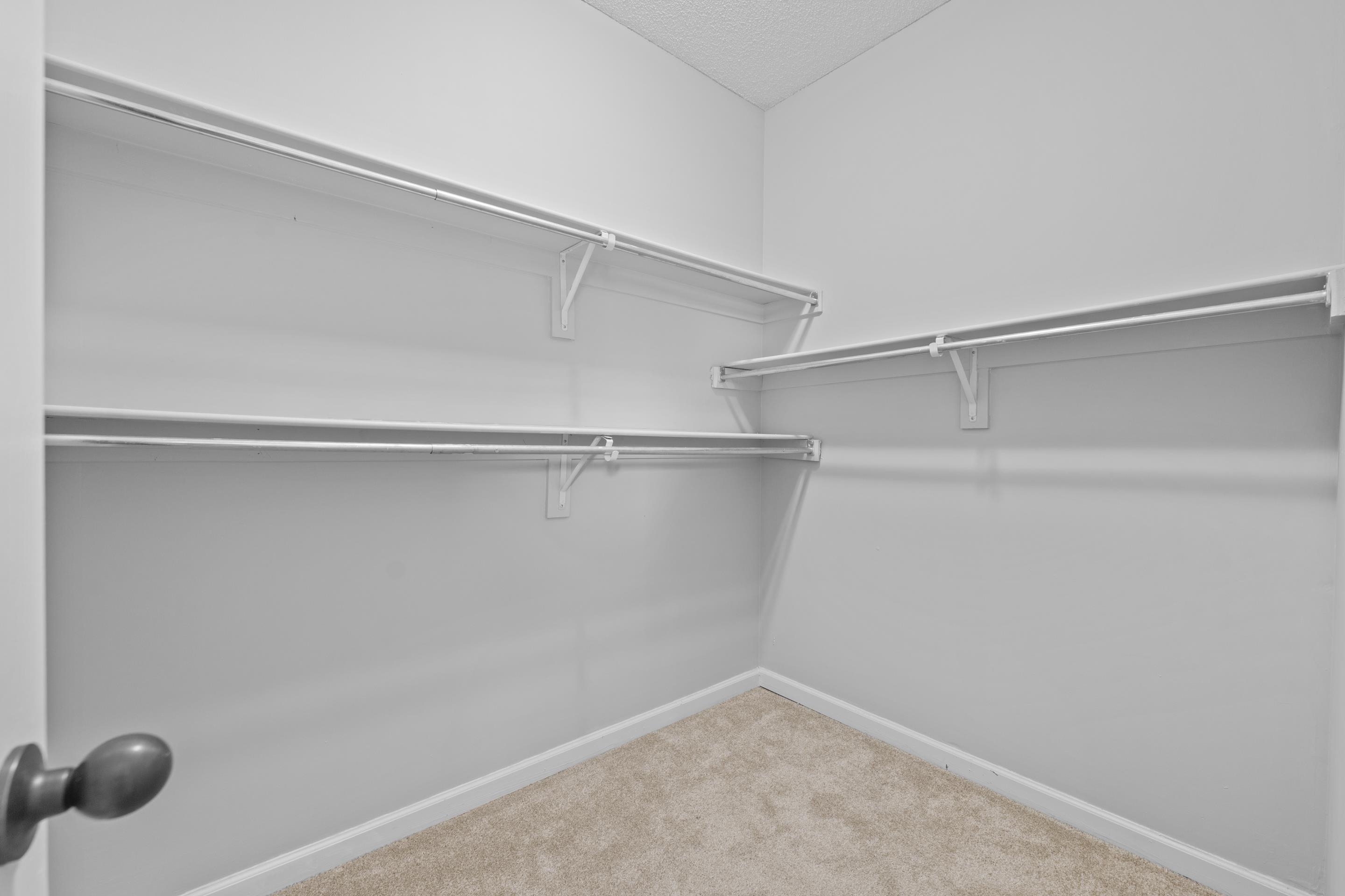 50 Abbey Road Oakland, TN 38060 - Photo 19 of 26 Walk-in closet with carpet flooring, white walls, and built-in white wire shelving