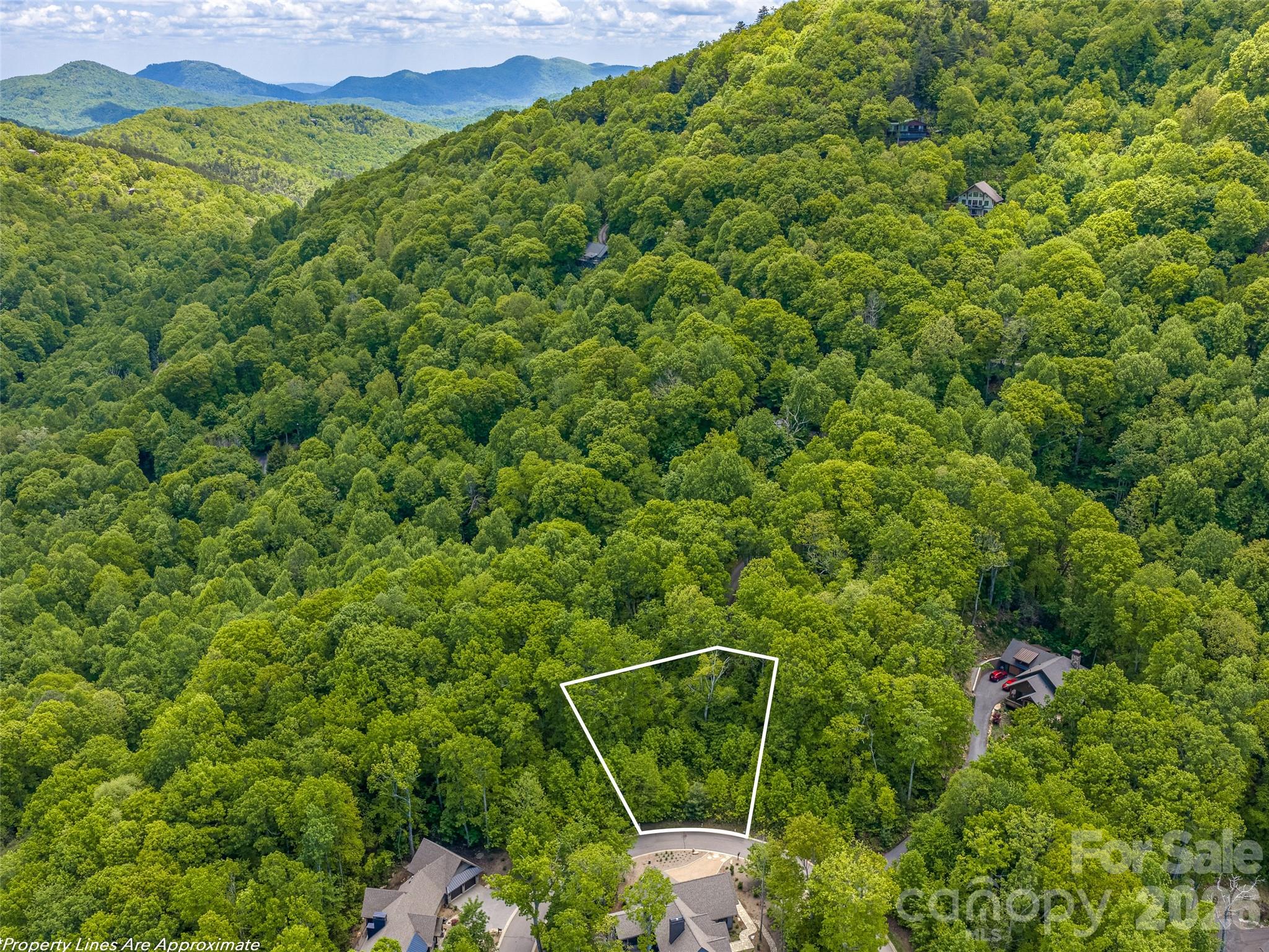 11 Crockett Ridge Road Black Mountain, NC 28711 - Photo 7 of 19 a view of a yard