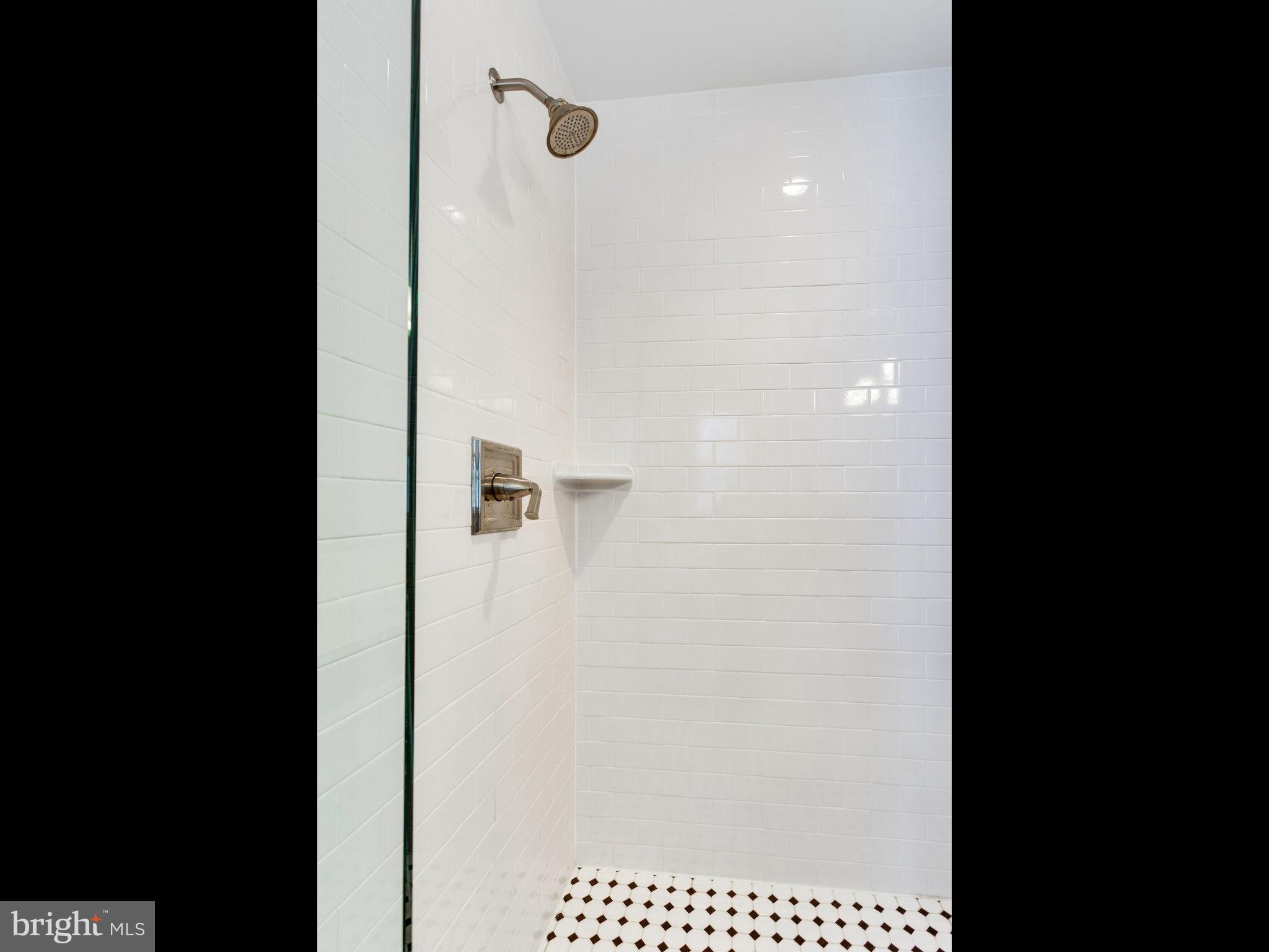 4704 Overbrook Road Bethesda, MD 20816 - Photo 18 of 30 Bath (Master)