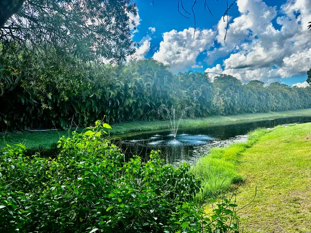 a view of a lake with a yard