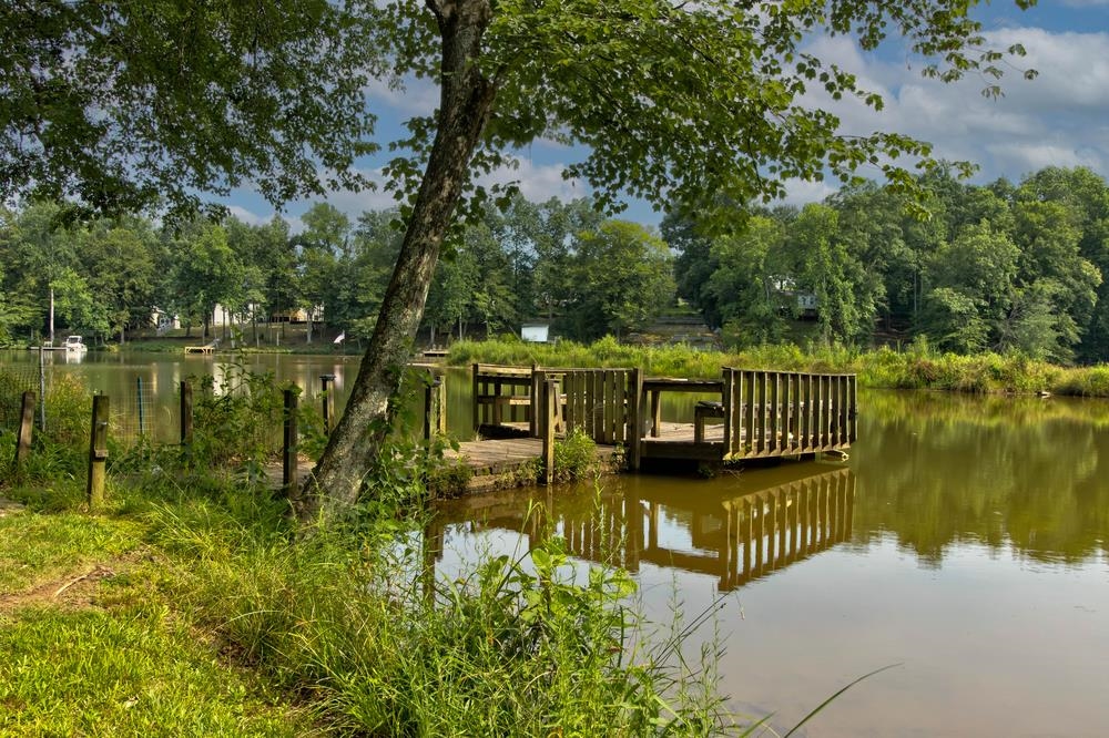 595 Berry Shoals Road Duncan, SC 29334 - Photo 29 of 36