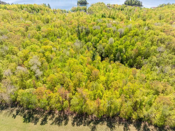 $67,900 | Lot 3-blk Kathryn Ave Kathryn Avenue, Grand Rapids, MN 55744