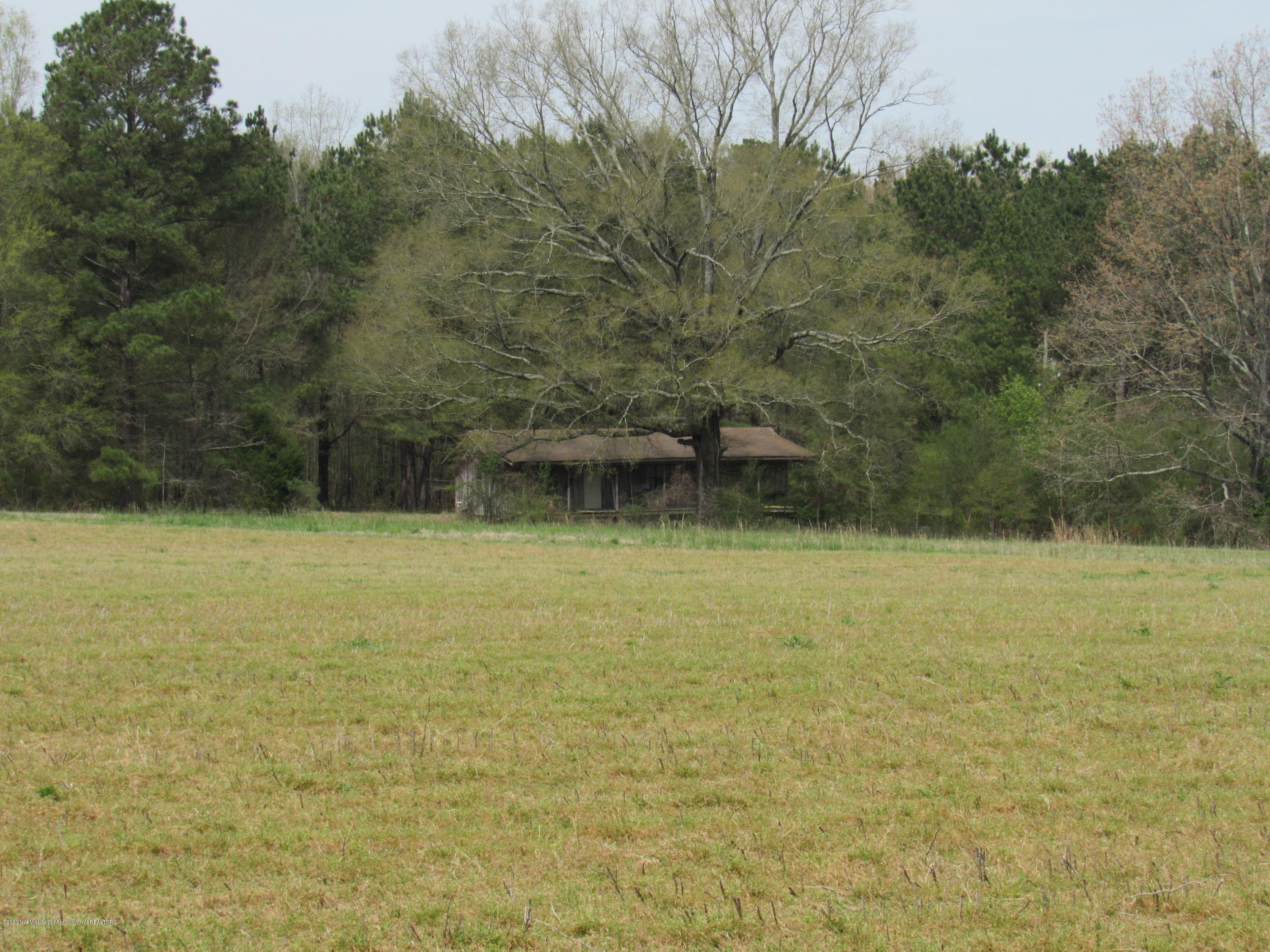 156 Harrell Road Pelahatchie, MS 39145 - Photo 1 of 19 IMG_2653