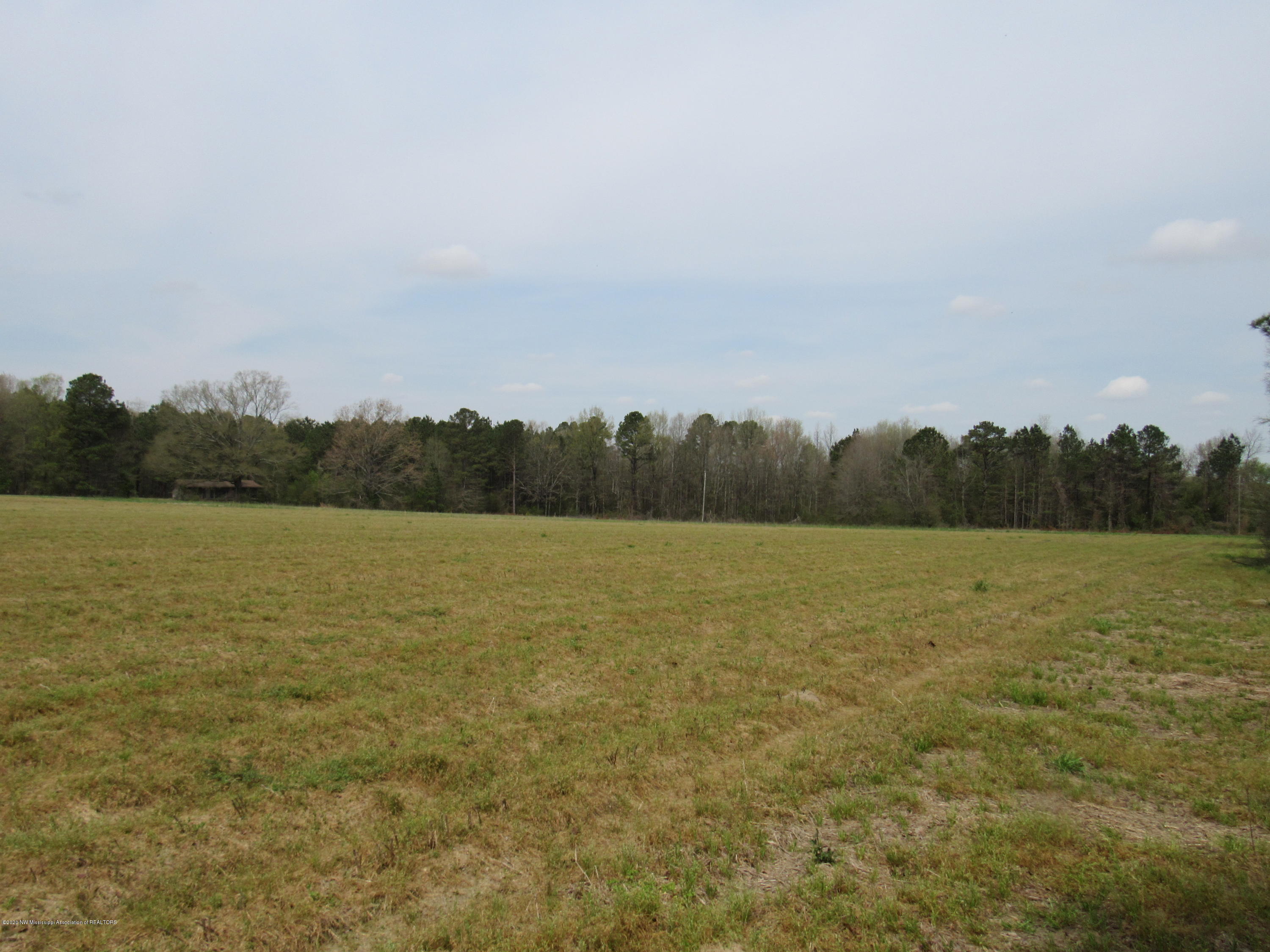 156 Harrell Road Pelahatchie, MS 39145 - Photo 14 of 19 IMG_2649