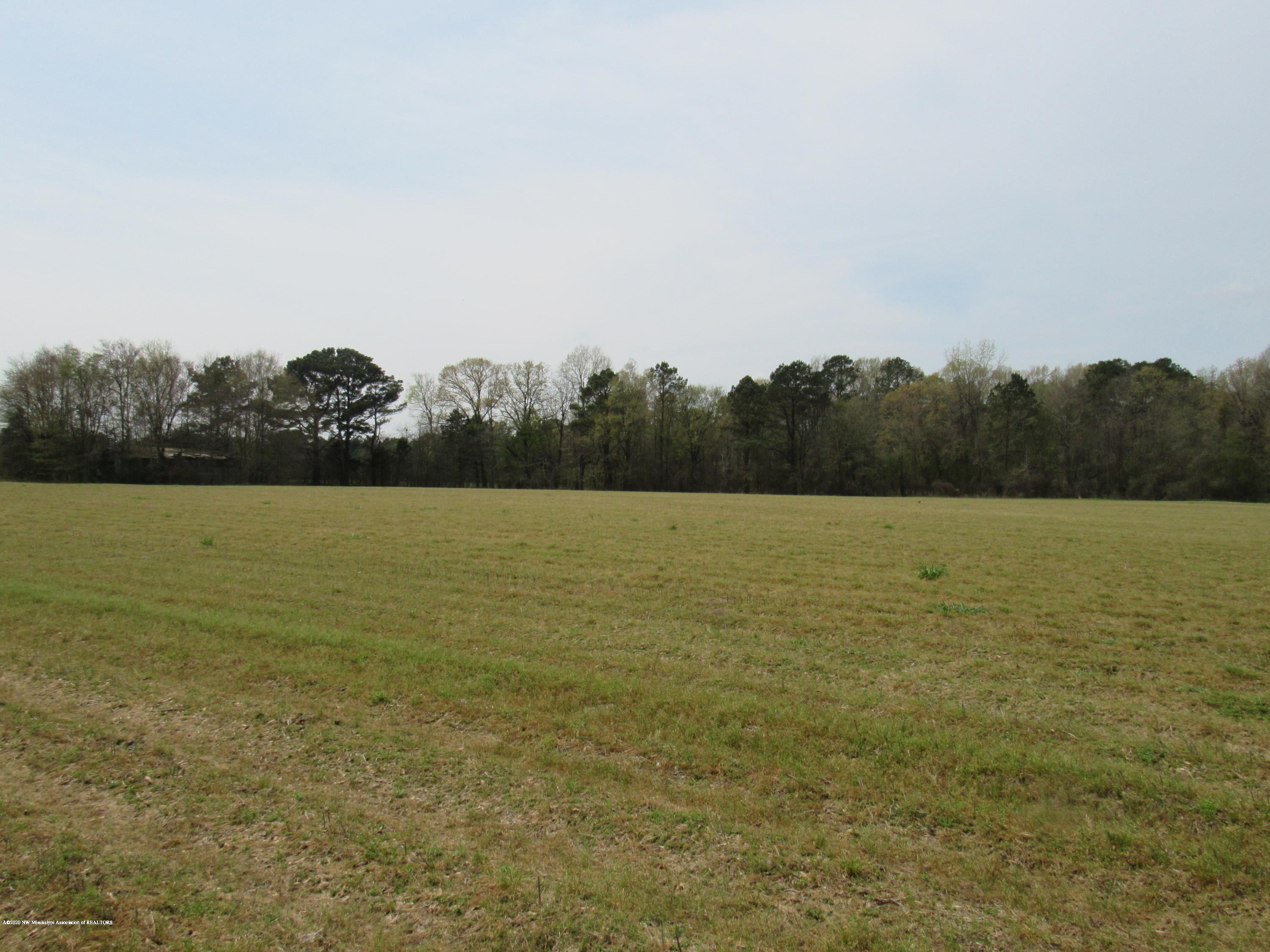 156 Harrell Road Pelahatchie, MS 39145 - Photo 15 of 19 IMG_2651