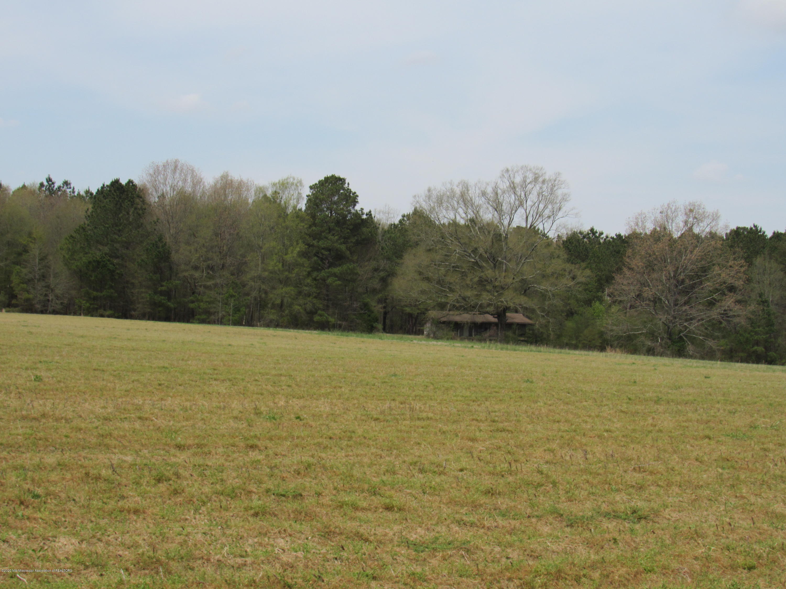 156 Harrell Road Pelahatchie, MS 39145 - Photo 16 of 19 IMG_2655