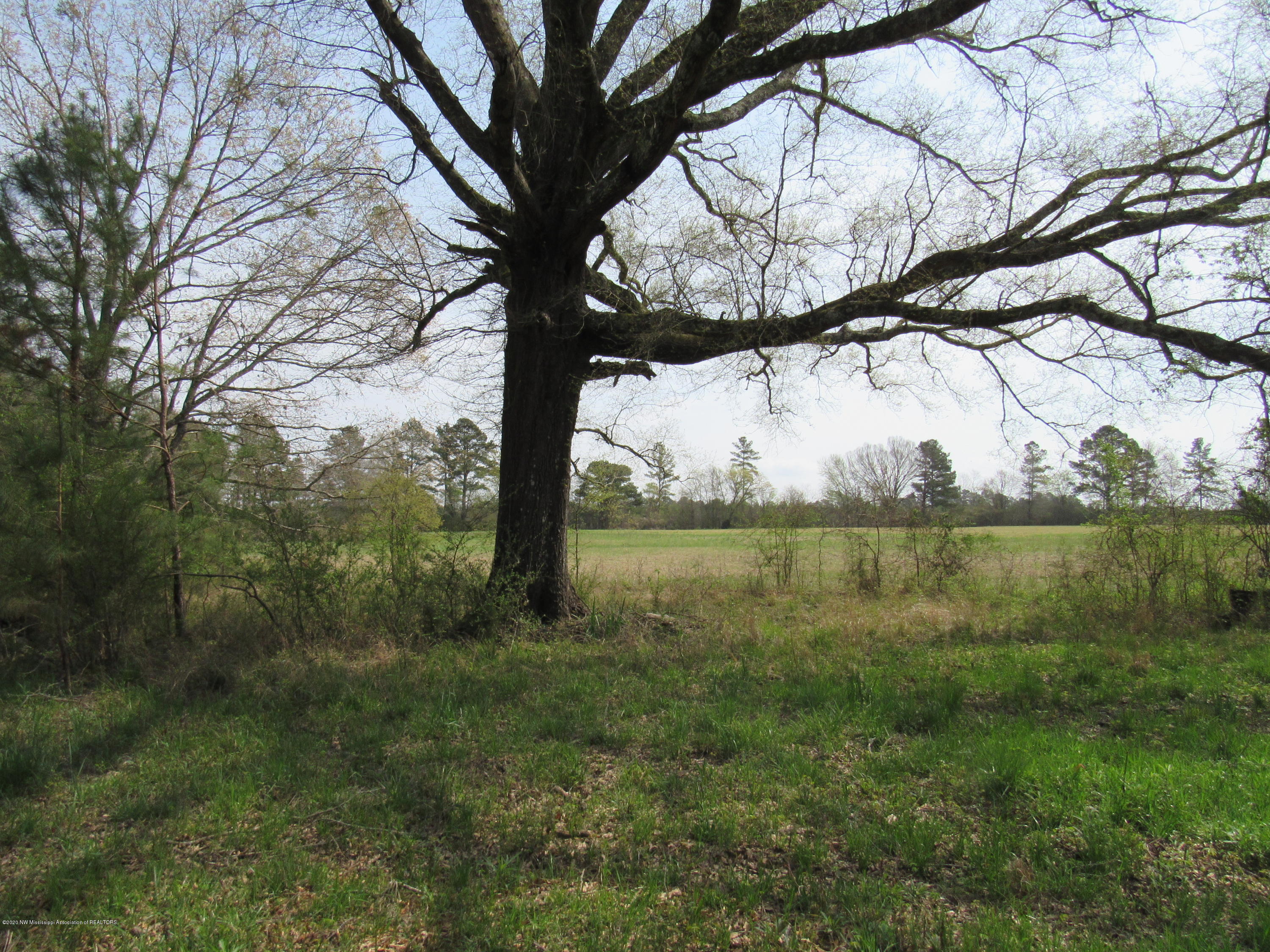 156 Harrell Road Pelahatchie, MS 39145 - Photo 17 of 19 IMG_2613