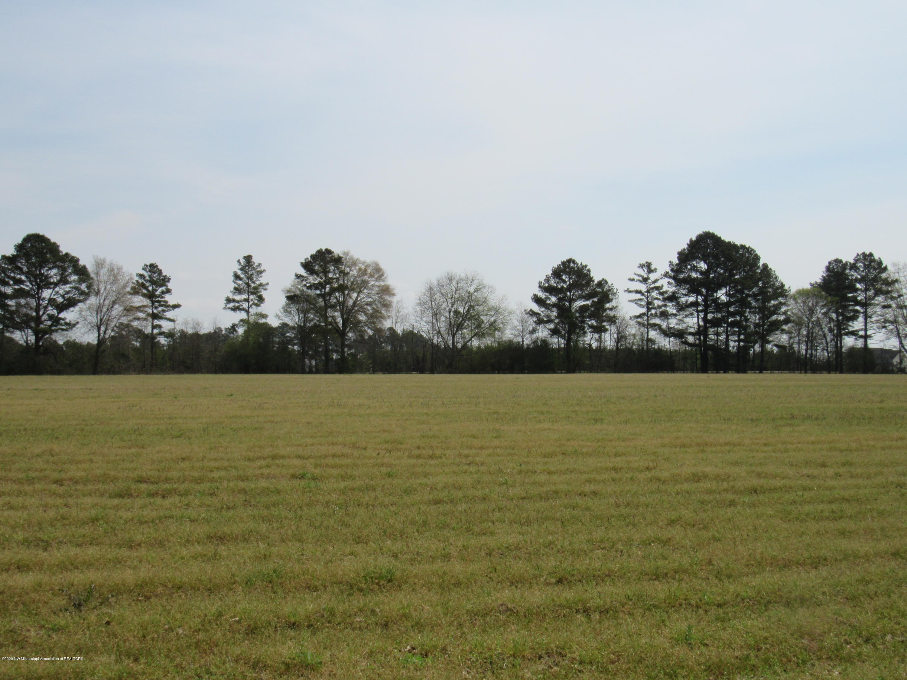 156 Harrell Road Pelahatchie, MS 39145 - Photo 3 of 19 IMG_2622