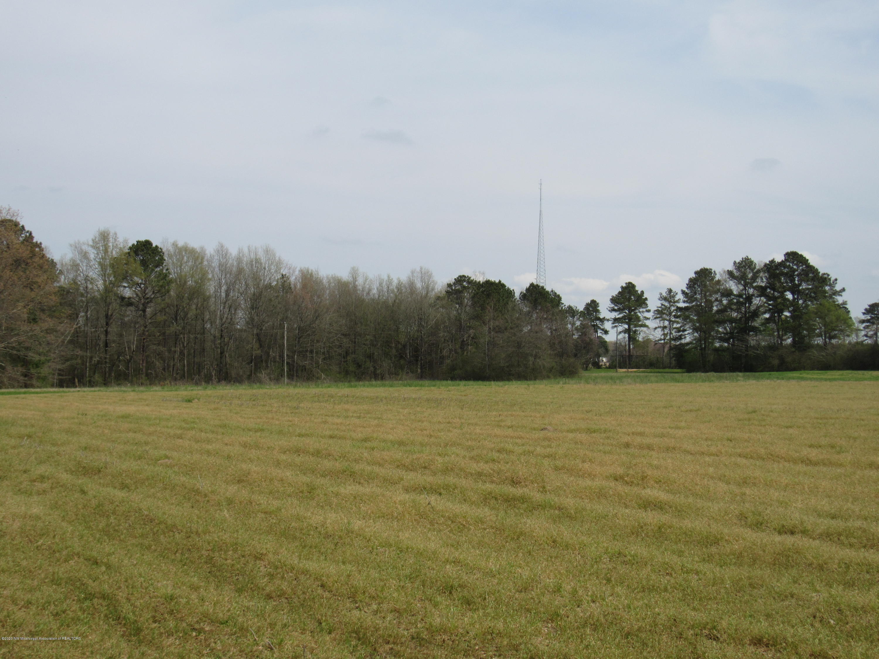 156 Harrell Road Pelahatchie, MS 39145 - Photo 4 of 19 IMG_2624