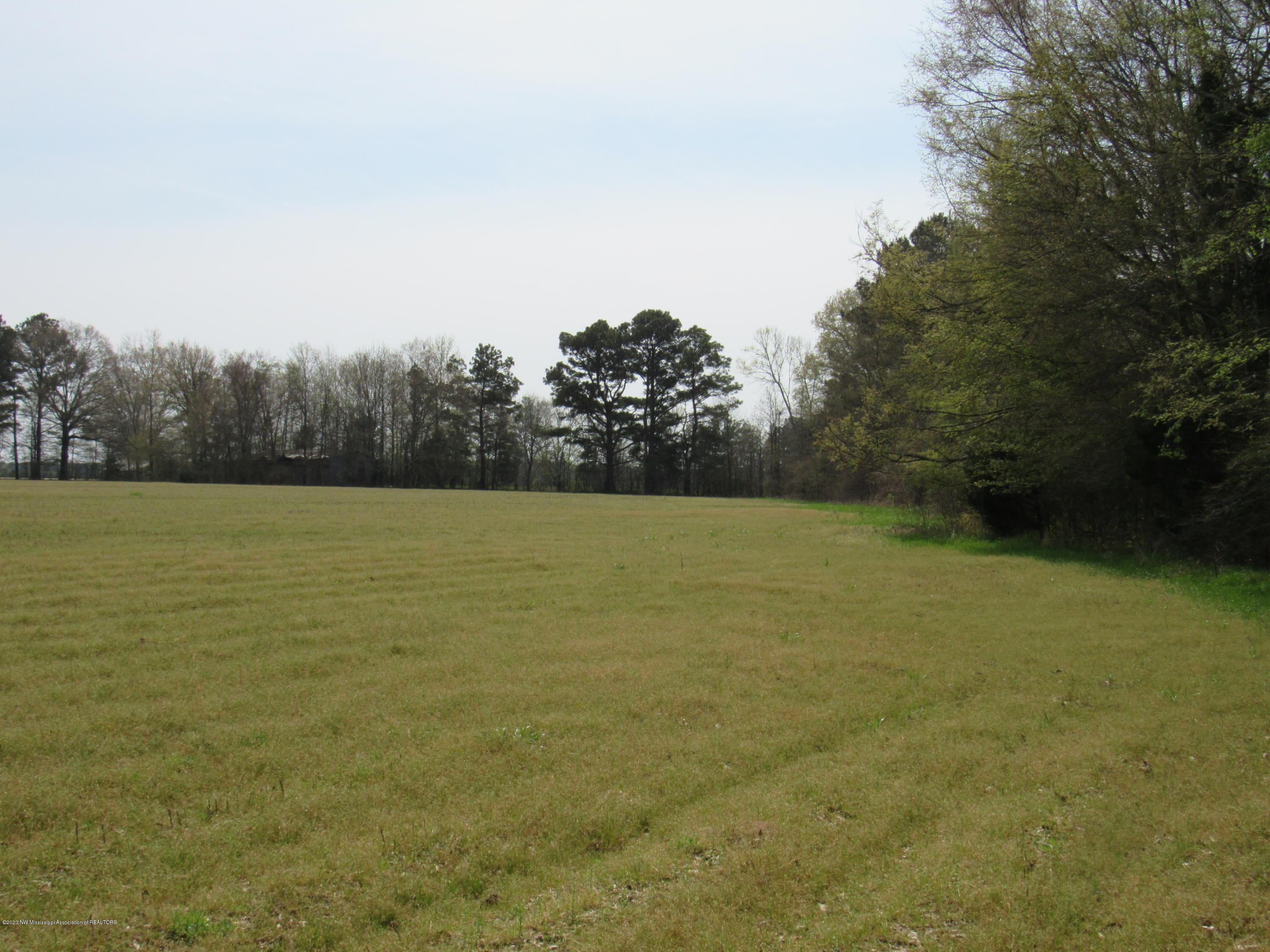 156 Harrell Road Pelahatchie, MS 39145 - Photo 5 of 19 IMG_2621