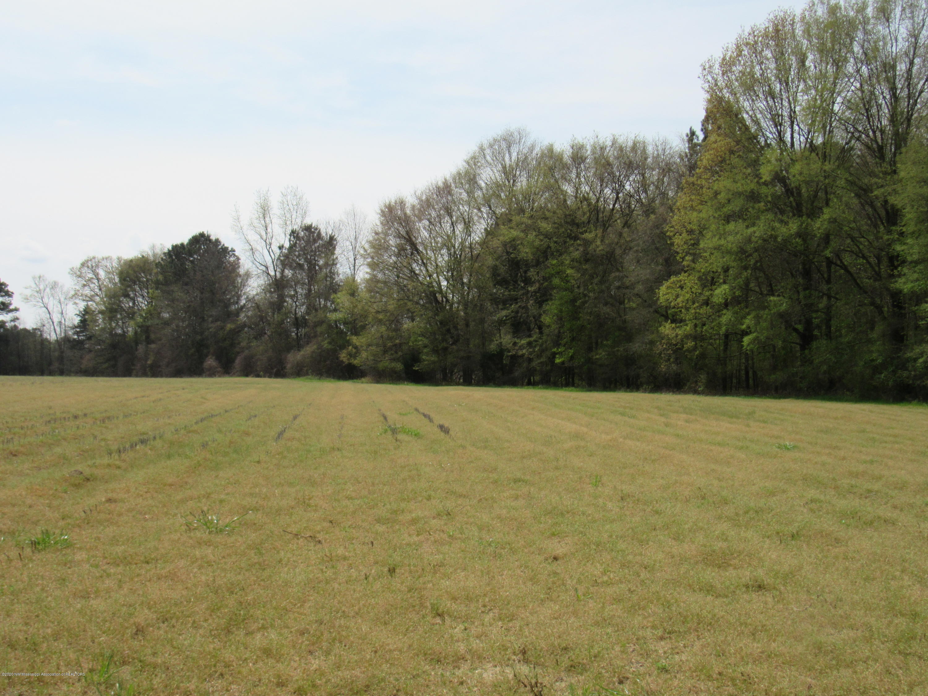 156 Harrell Road Pelahatchie, MS 39145 - Photo 6 of 19 IMG_2618