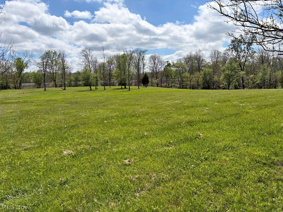 47341 Pitts Road Wellington, OH 44090 - Photo 10 of 40