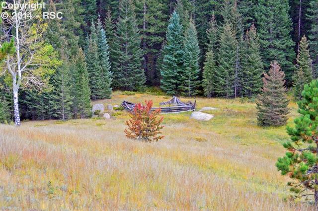 3200 Ridge Road Divide, CO 80814 - Photo 14 of 14
