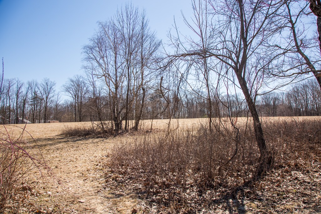 Lot 10 Queen Lake Road Templeton, MA 01468 - Photo 1 of 4 Gallery Image 1