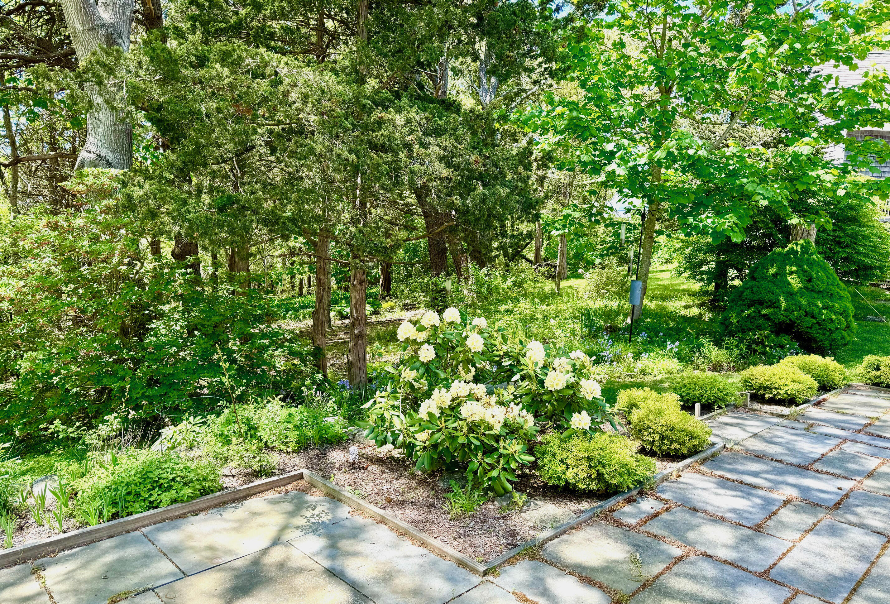 24 Camp Road Orleans, MA 02653 - Photo 39 of 56 a backyard of a house with lots of green space