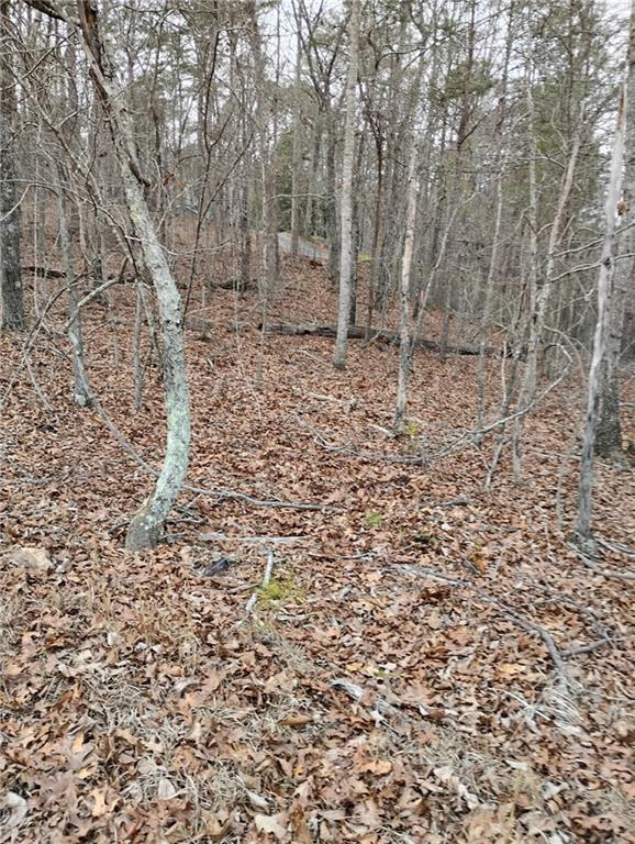0 Willie West Road Canton, GA 30114 - Photo 1 of 4 a view of a yard with a trees
