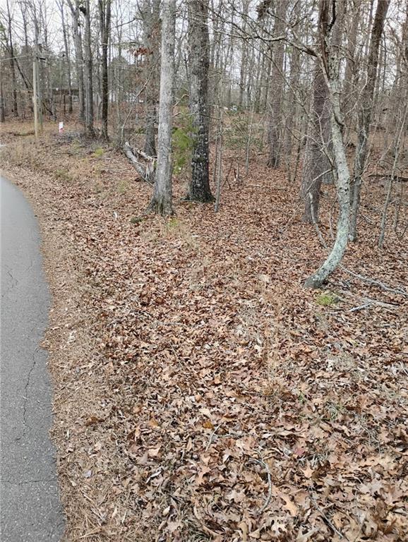 a view of a forest with trees