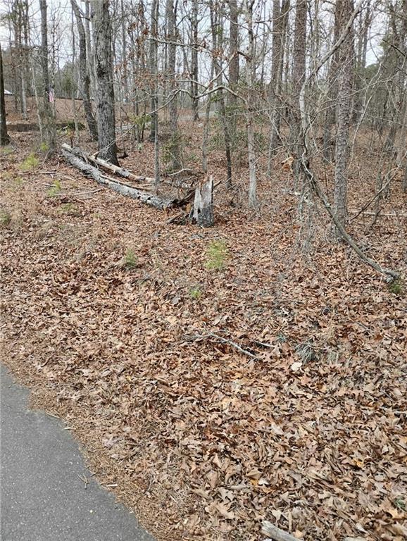 0 Willie West Road Canton, GA 30114 - Photo 3 of 4